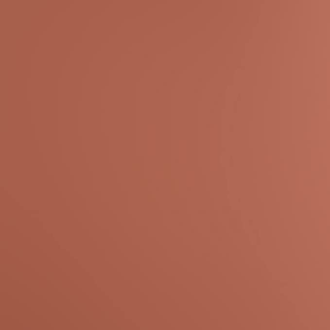 Stargazer Semi Permanent Long Lasting Transferproof Lip Stain Pen Nude/Beige